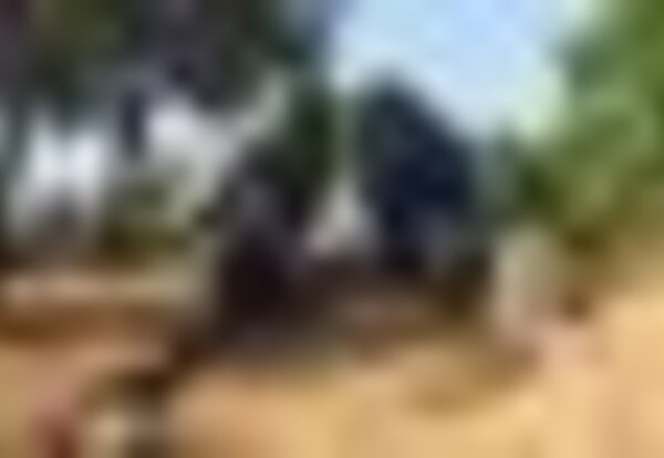 tiny_thumb_imagem_listas