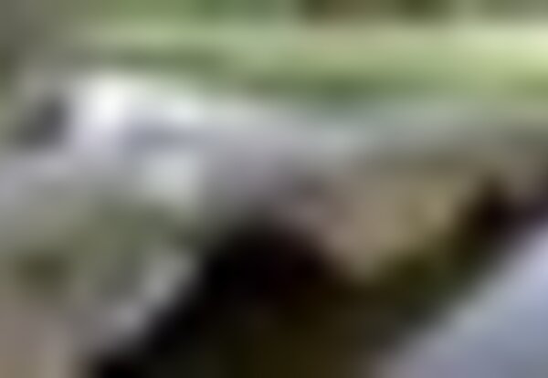 tiny_thumb_listas
