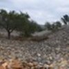 thumb_dsc_7410
