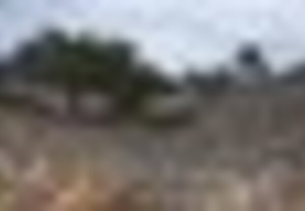 tiny_thumb_dsc_7410