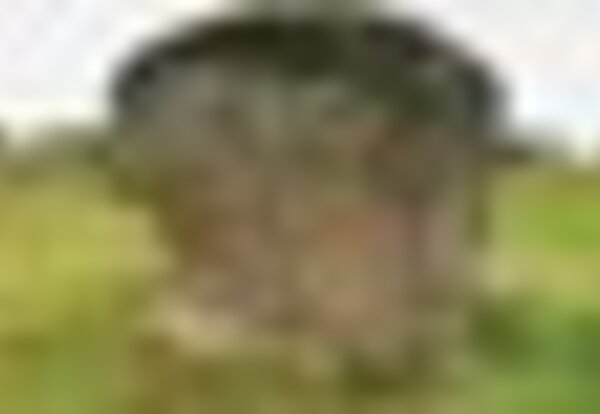 tiny_thumb_imagem_listas