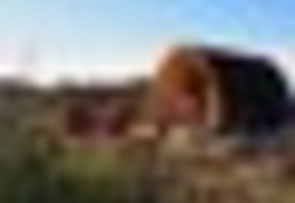 tiny_thumb_capa