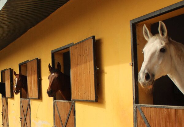 espaco_equestre
