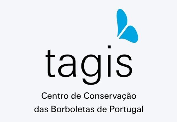 imagem_listas