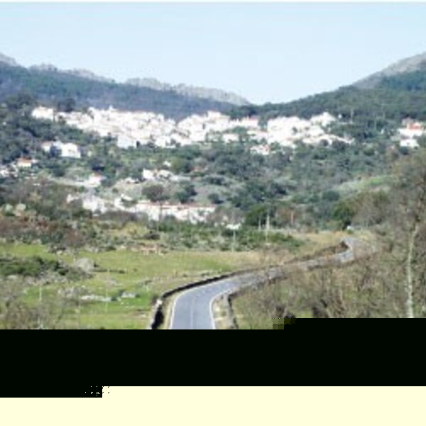 Carreiras