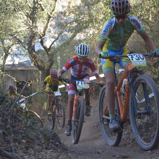 xco__4_