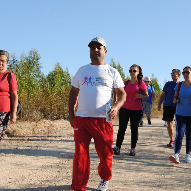 caminhada_abelhas__2_