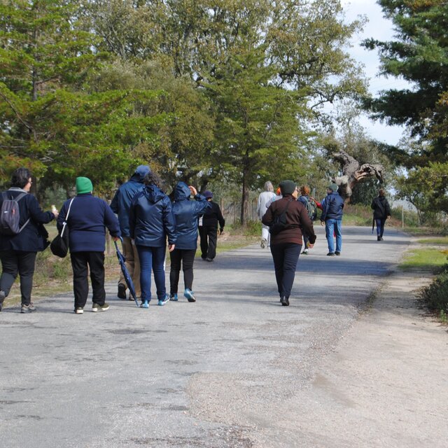 caminhada_arvores_centenarias__2_