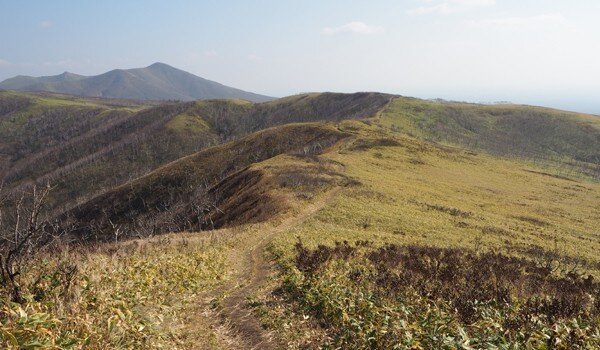 Landscape and Viewpoints