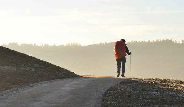 Walking paths