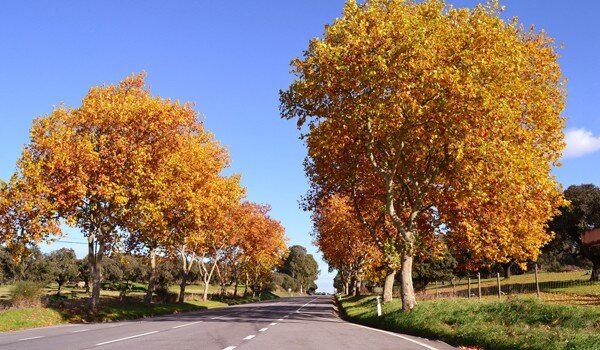 Road routes